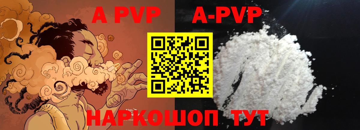 Alfa_PVP СК КРИС Киселёвск