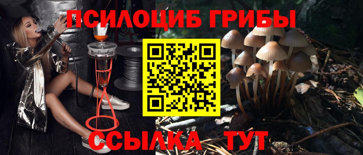 Псилоцибиновые грибы прущие грибы Киселёвск